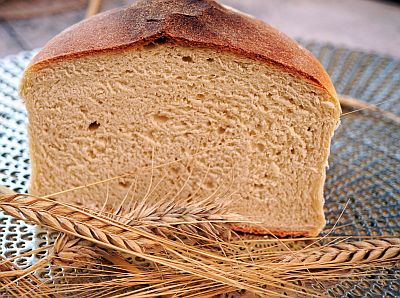 Ein aufgeschnittener Brotlaib liegt vor uns auf einem Teller, davor liegen Halme mit Ähren verschiedener Getreidesorten.