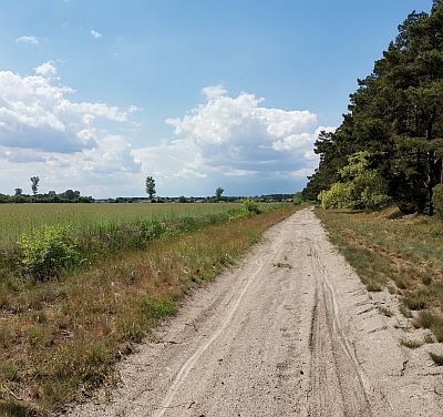 Wir sehen vor uns einen typischen märkischen Weg, ziemlich sandig, aber hell in der weiten Landschaft, rechts ein Streifen Heidekraut und ein Waldsaum, links ein Feld, darüber blauer Himmel mit Wolken. Von Ferne grüßt das Dorf Schönefeld (Gemeinde Nuthe-Urstromtal).