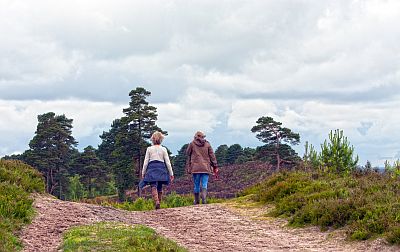 Zwei Frauen wandern durch eine Landschaft von Wald und Heide. Sie sind uns auf dem sandigen Weg weit voraus.